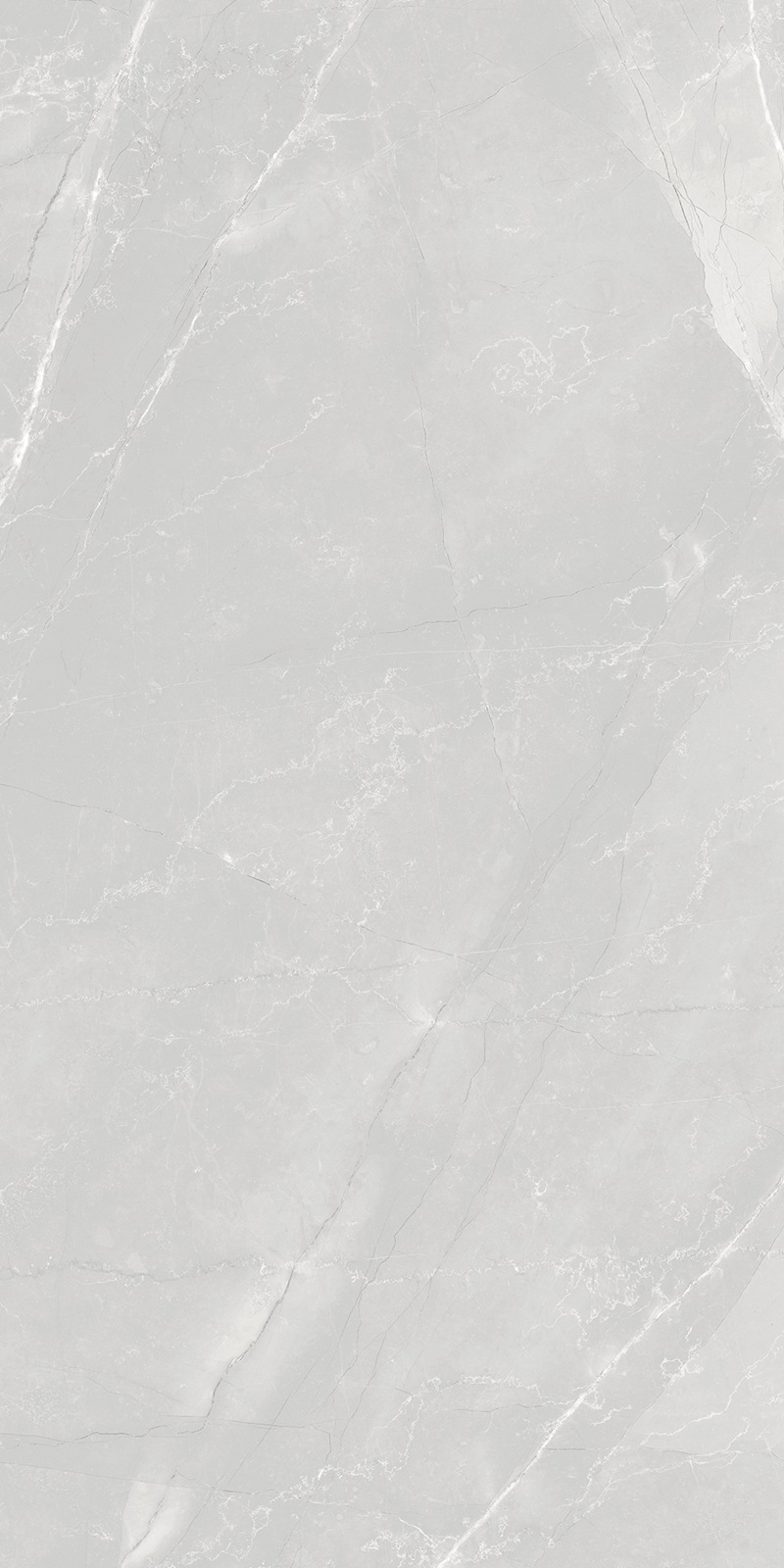 Y12621-2