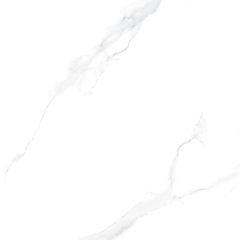 Y8559-4