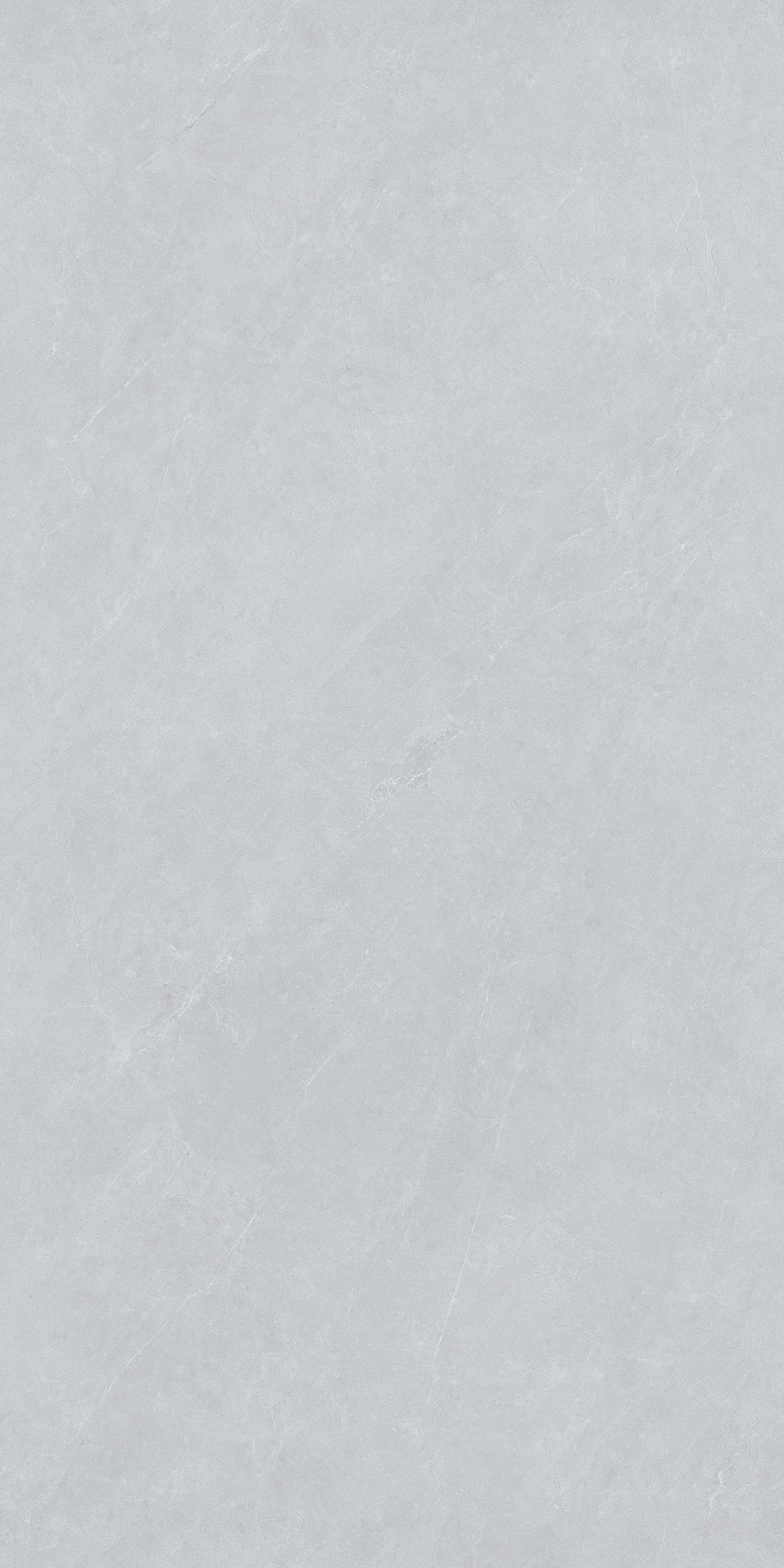 Y361203
