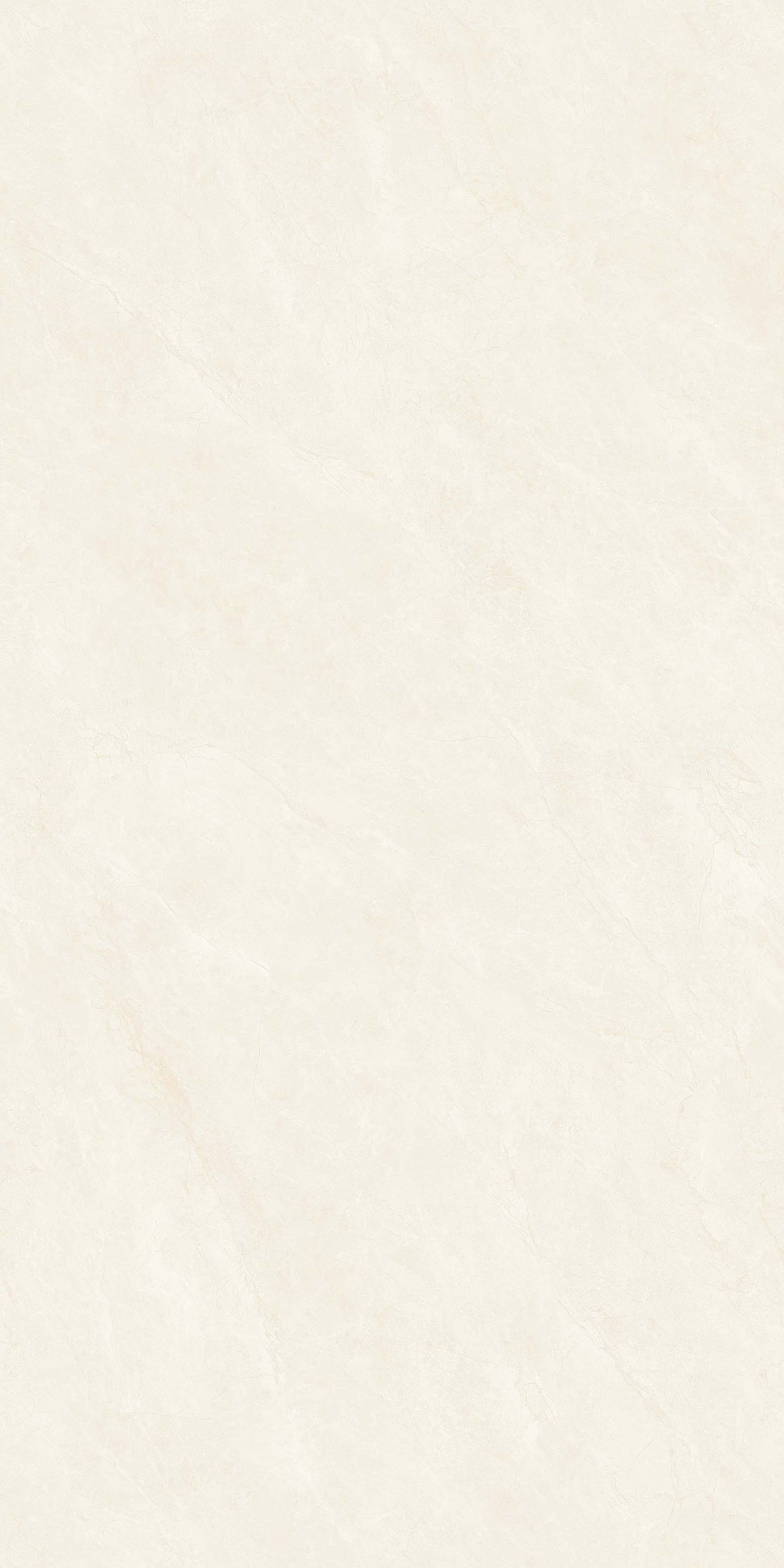 菲拉格金Y361207