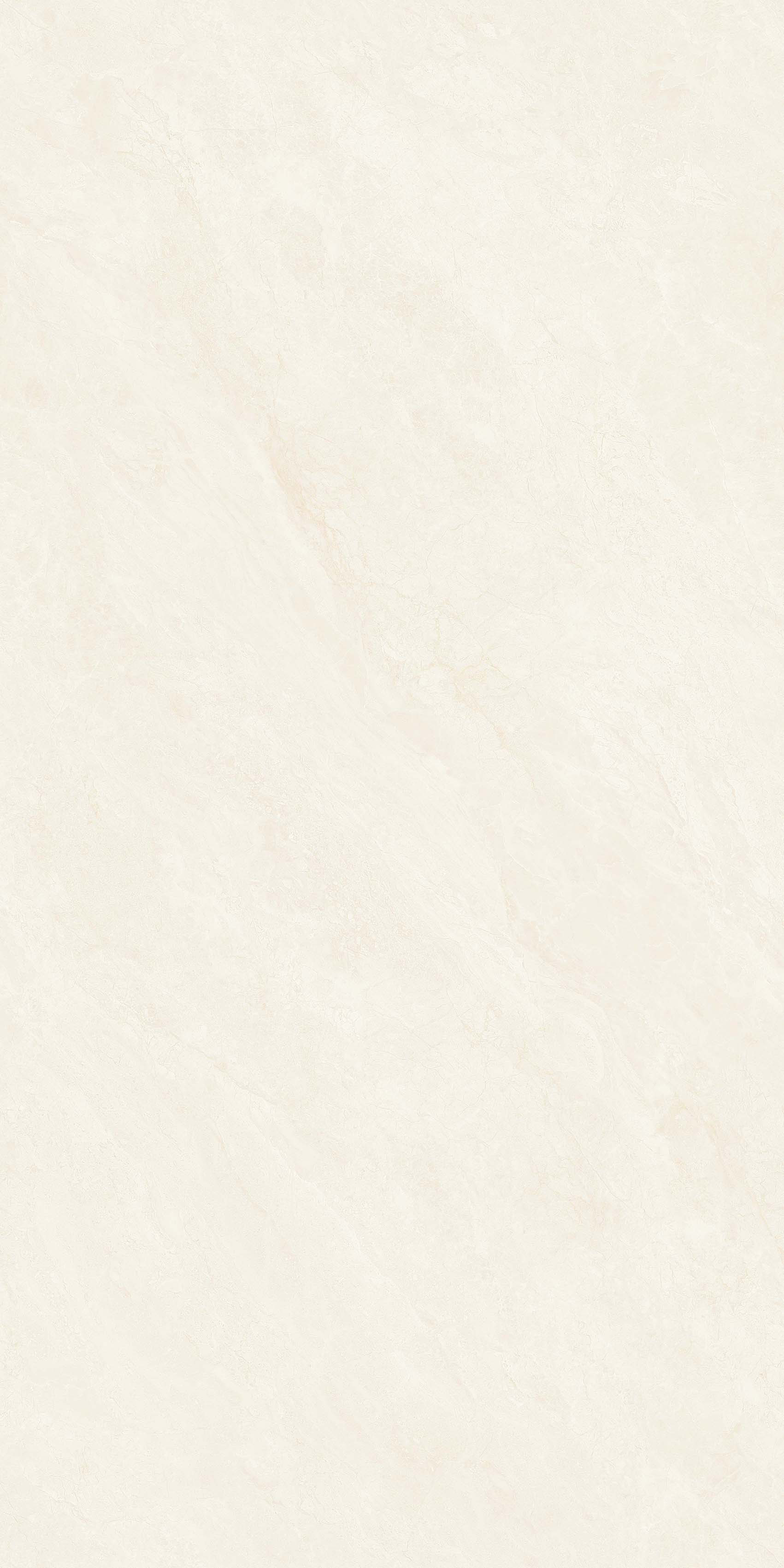 Y361207