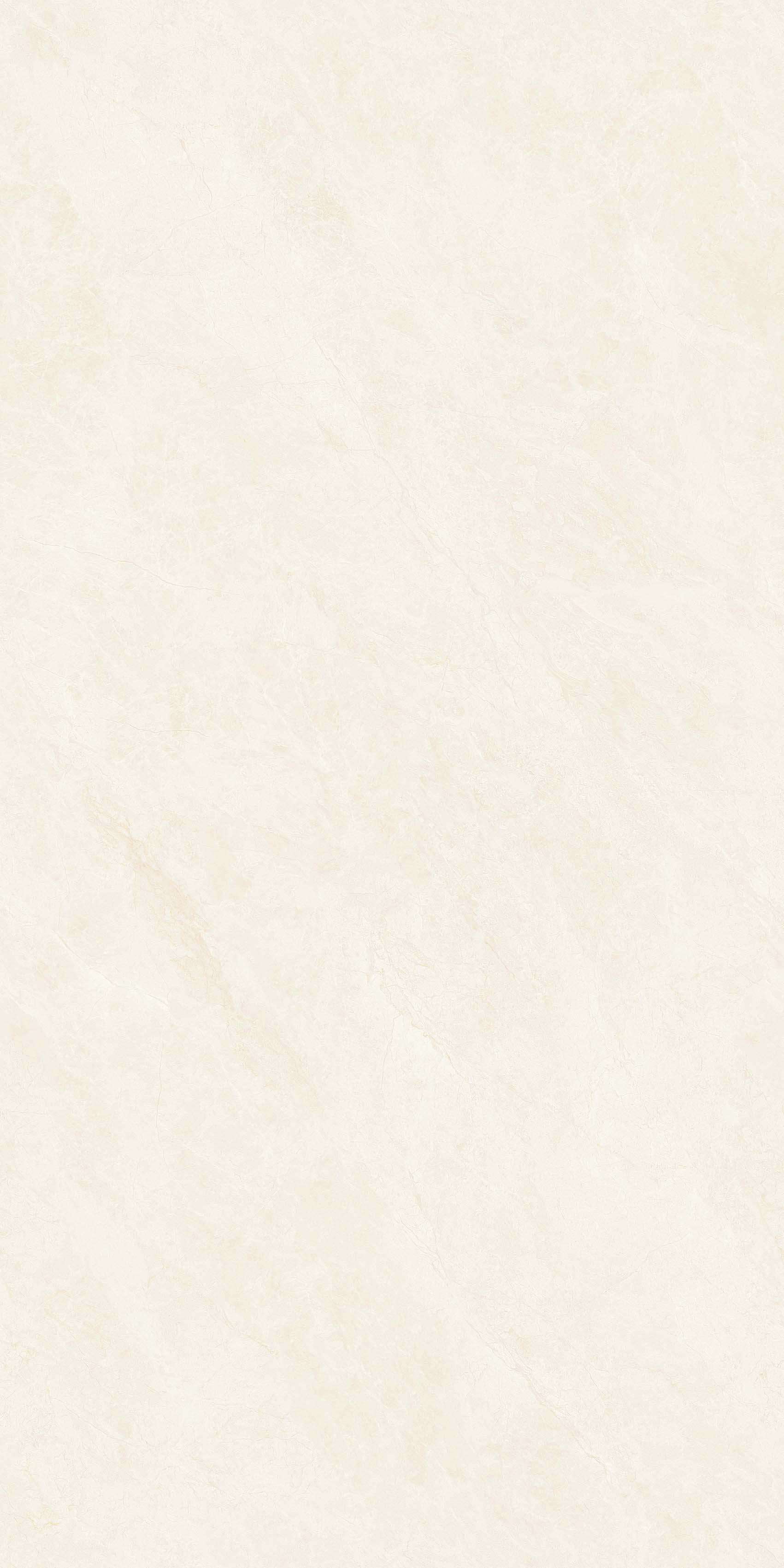 Y361207