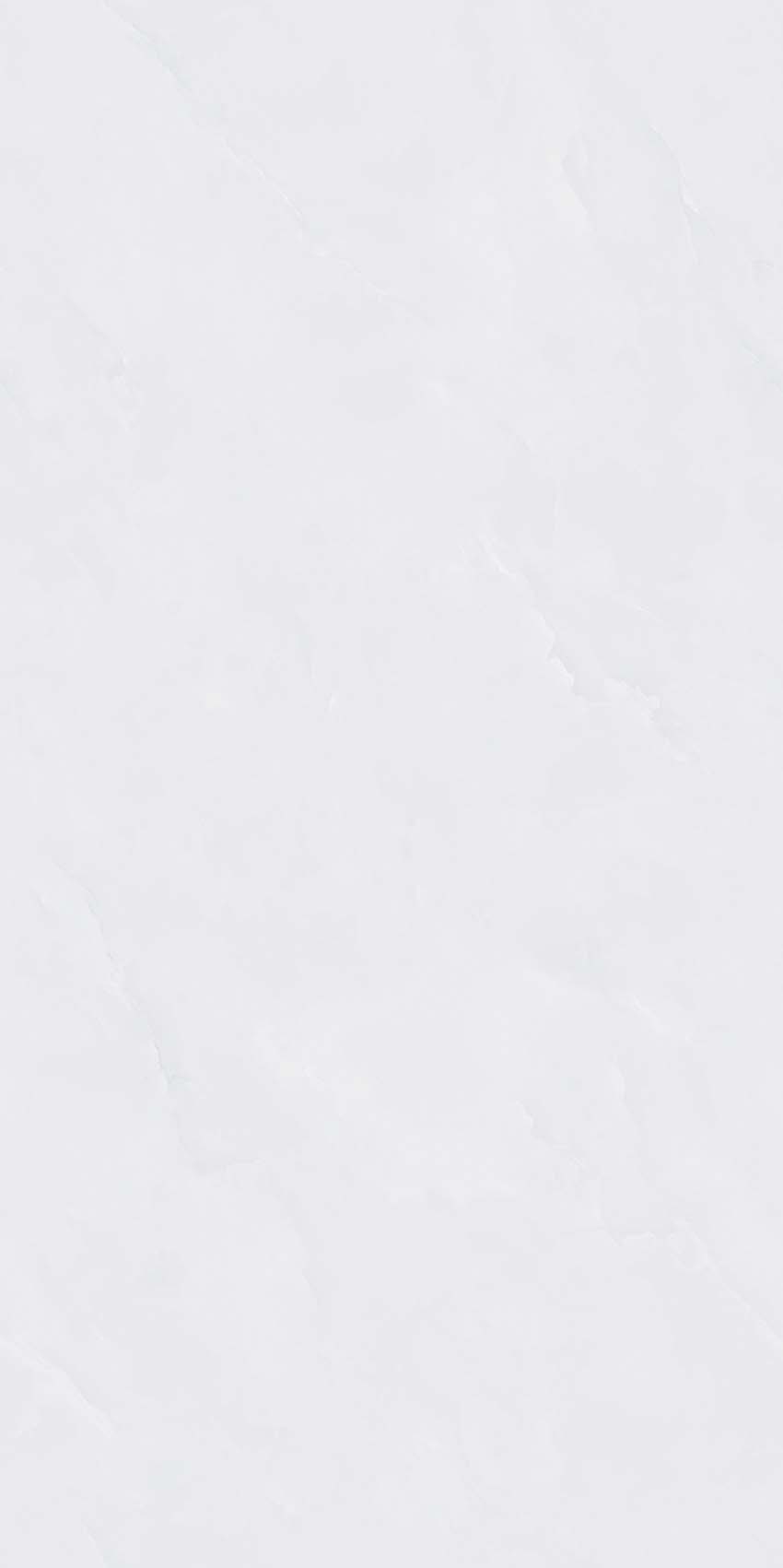 Y640806