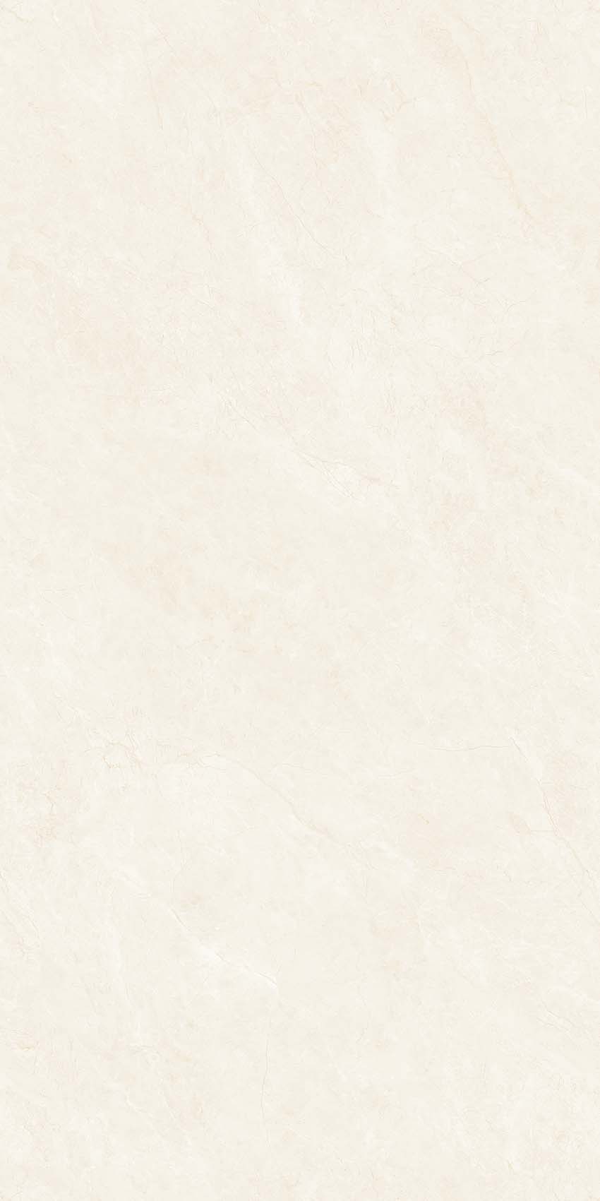 菲拉格金Y640807