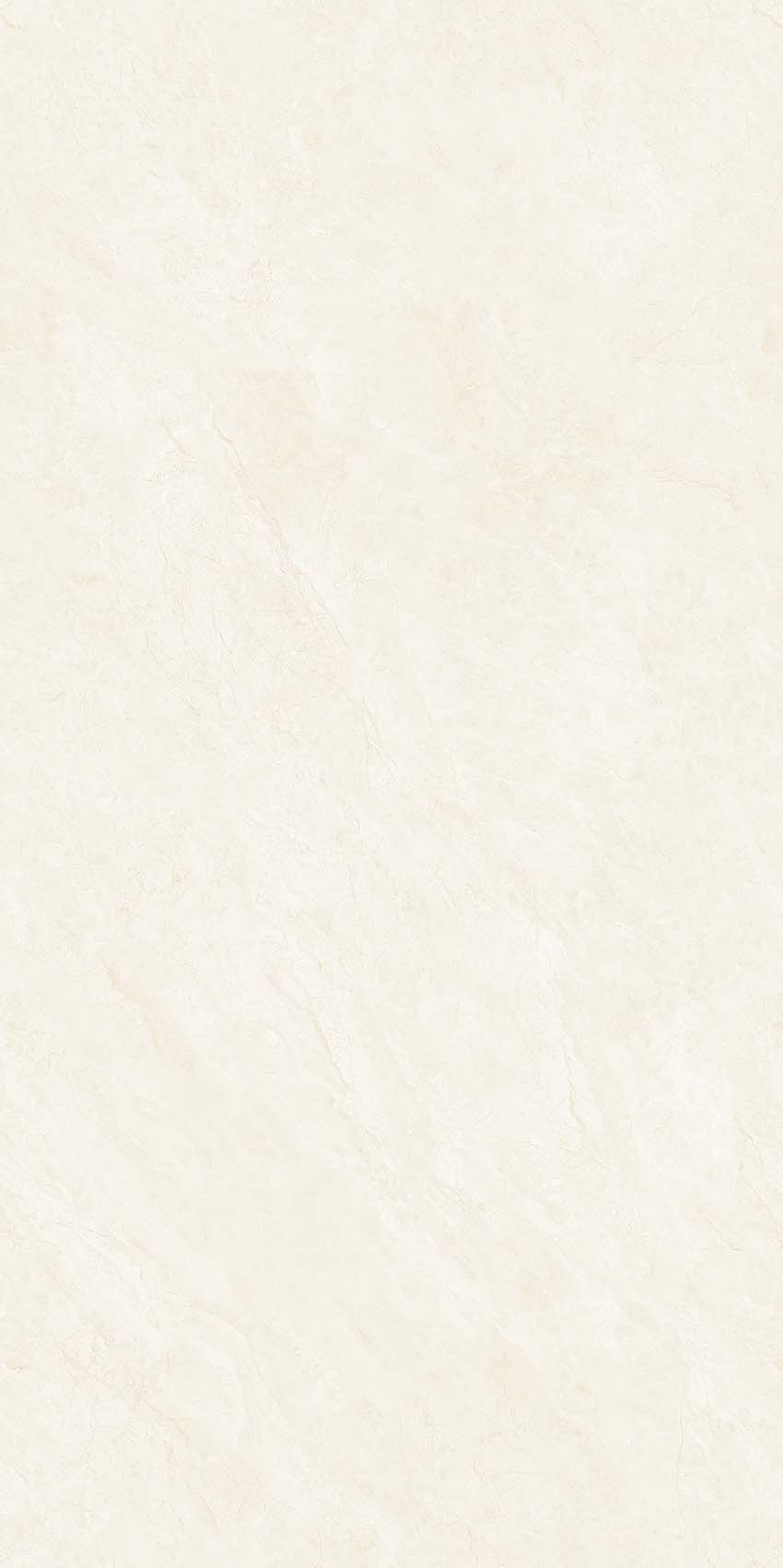 Y640807
