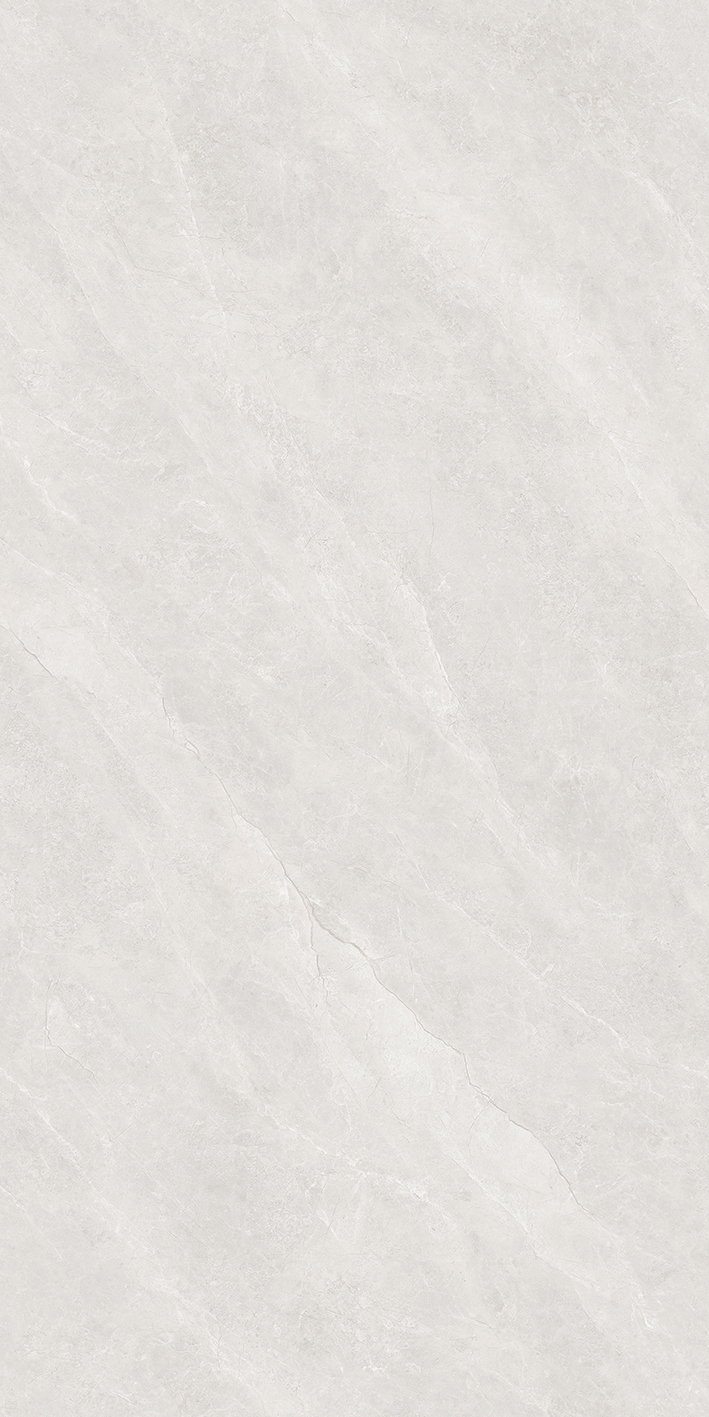 Y671509