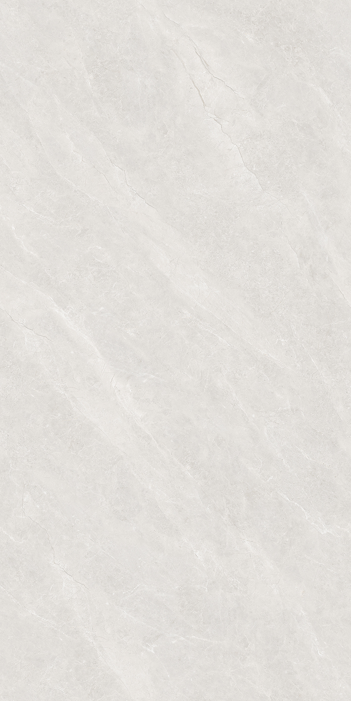 Y671509