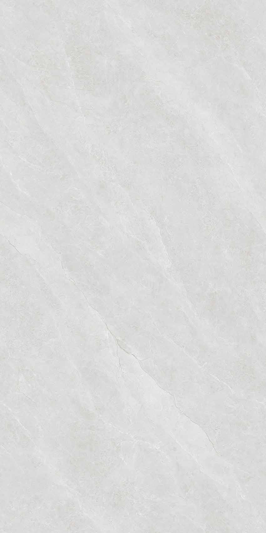 Y361209