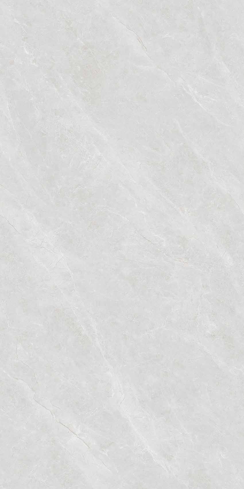 Y361209