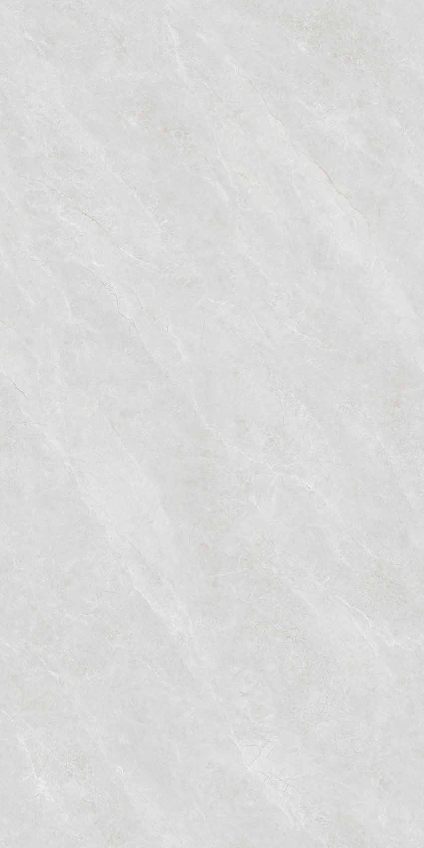 Y361209