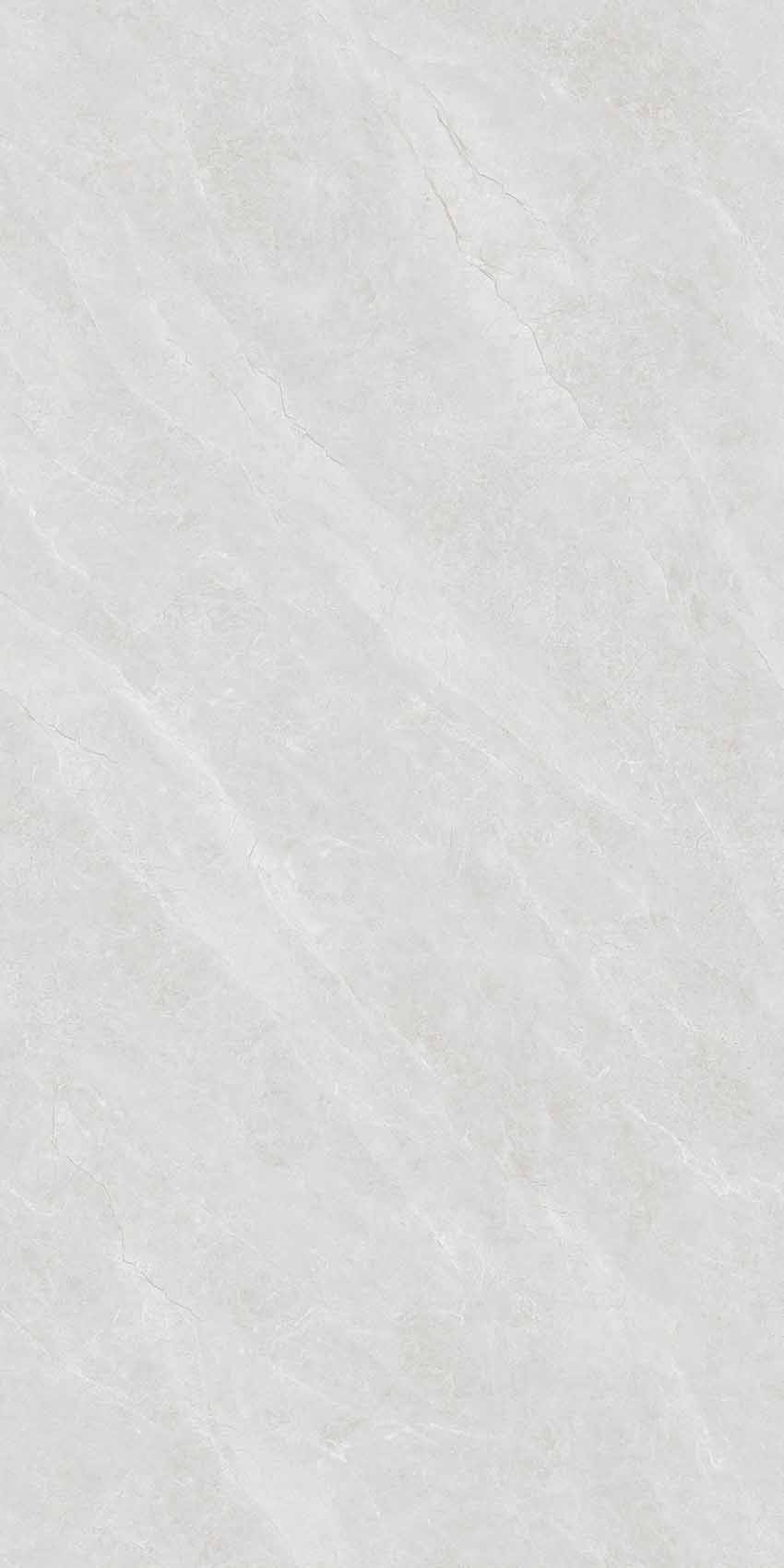 Y361209