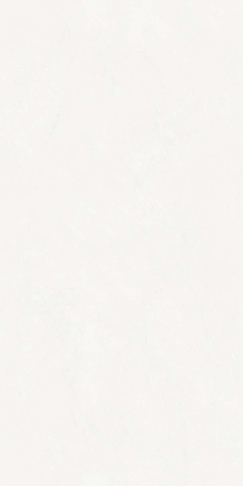 Y640801