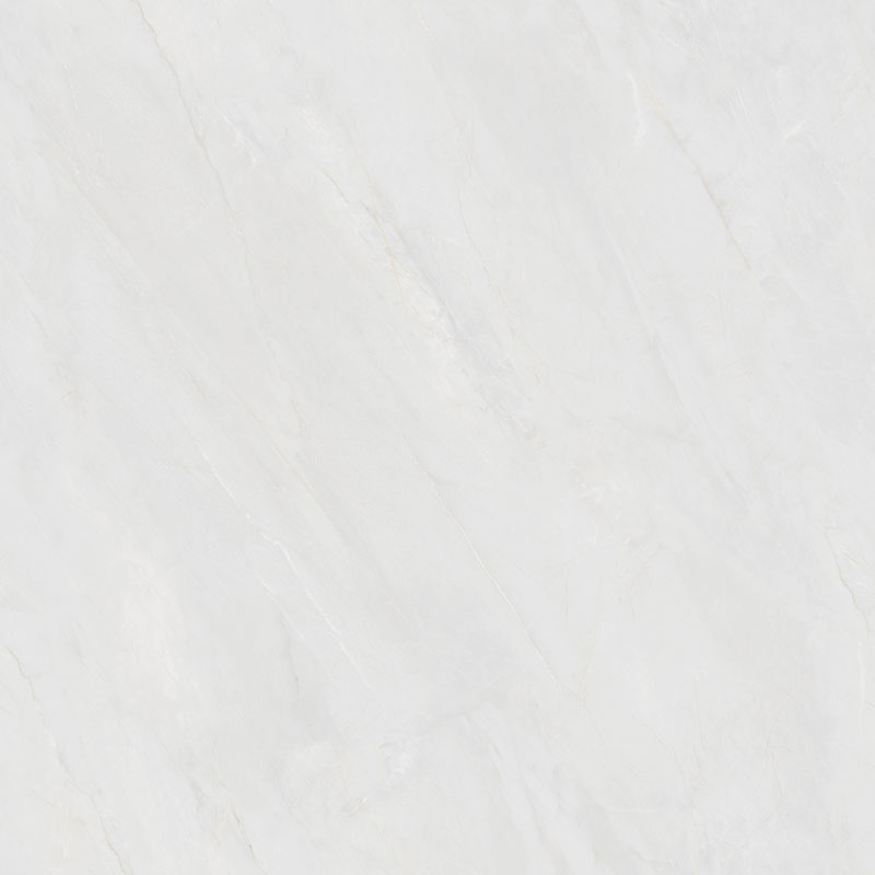 Y81211