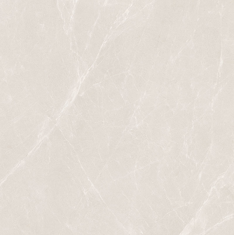 Y81213