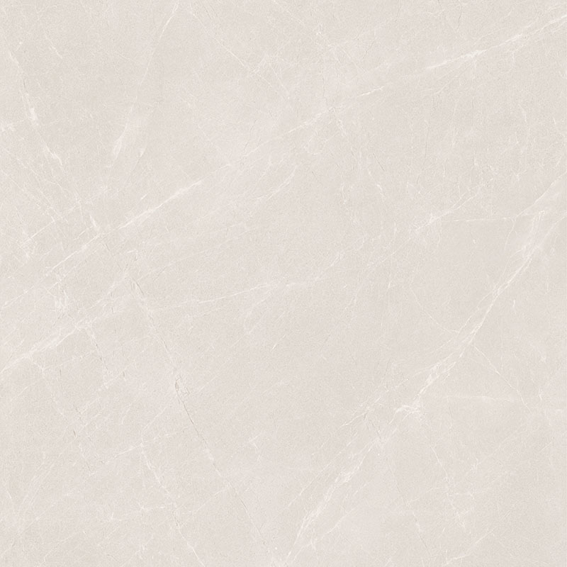 Y81213