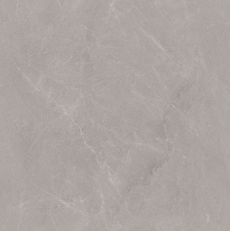 Y81215