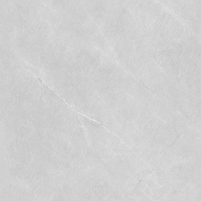 Y81217