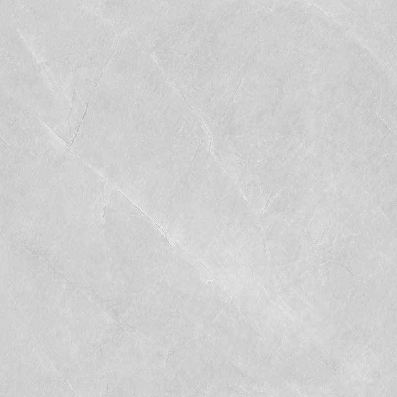 Y81217