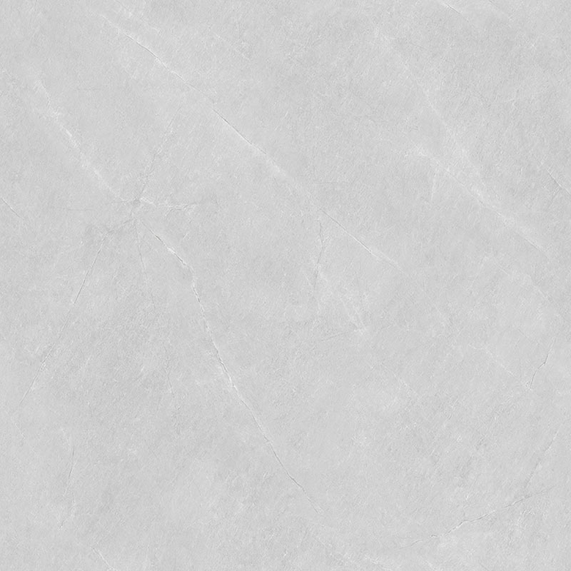 Y81217