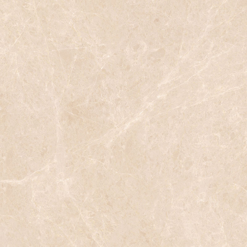 Y81221