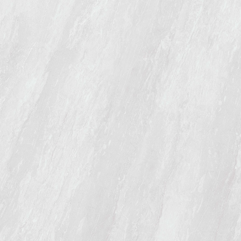Y81223