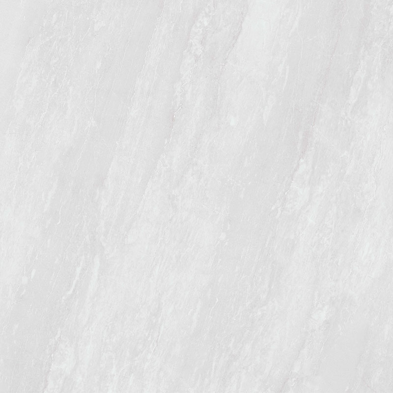 Y81223