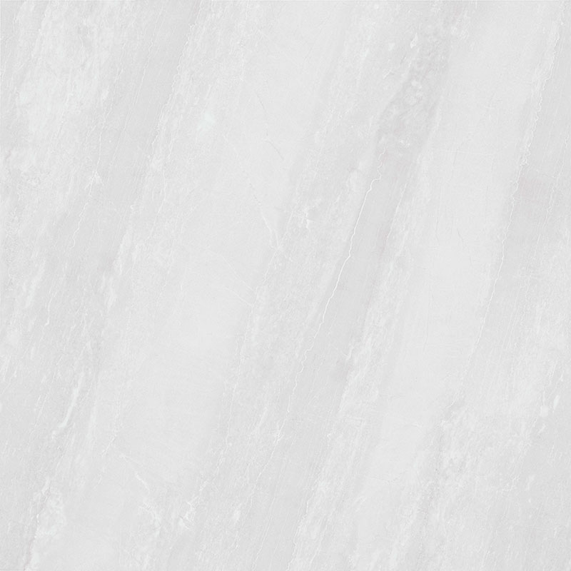 Y81223