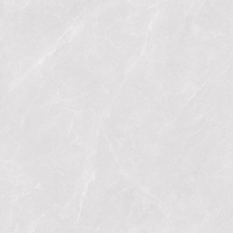 Y81224