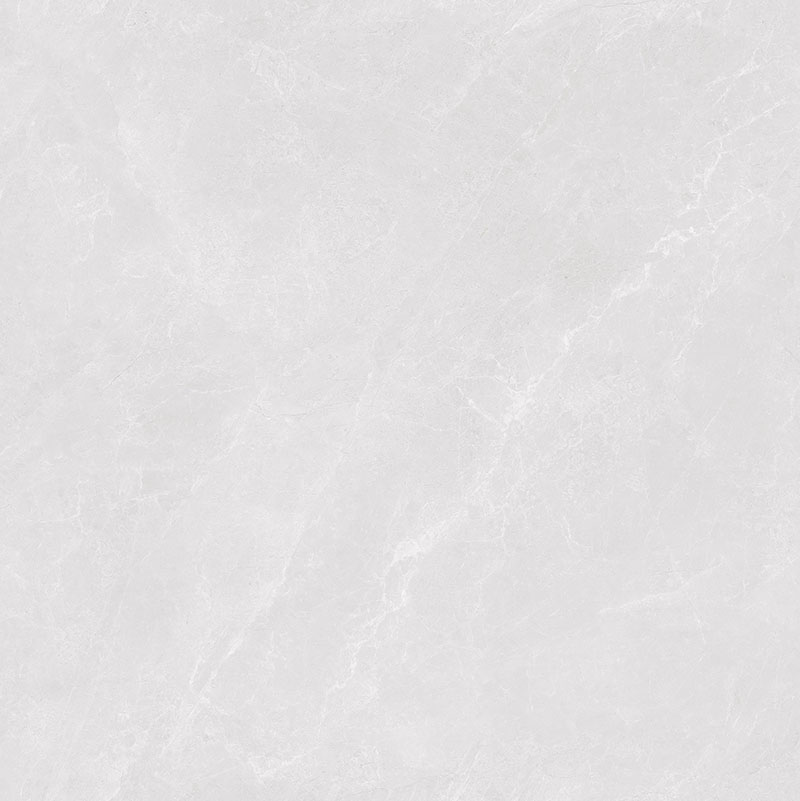 Y81224