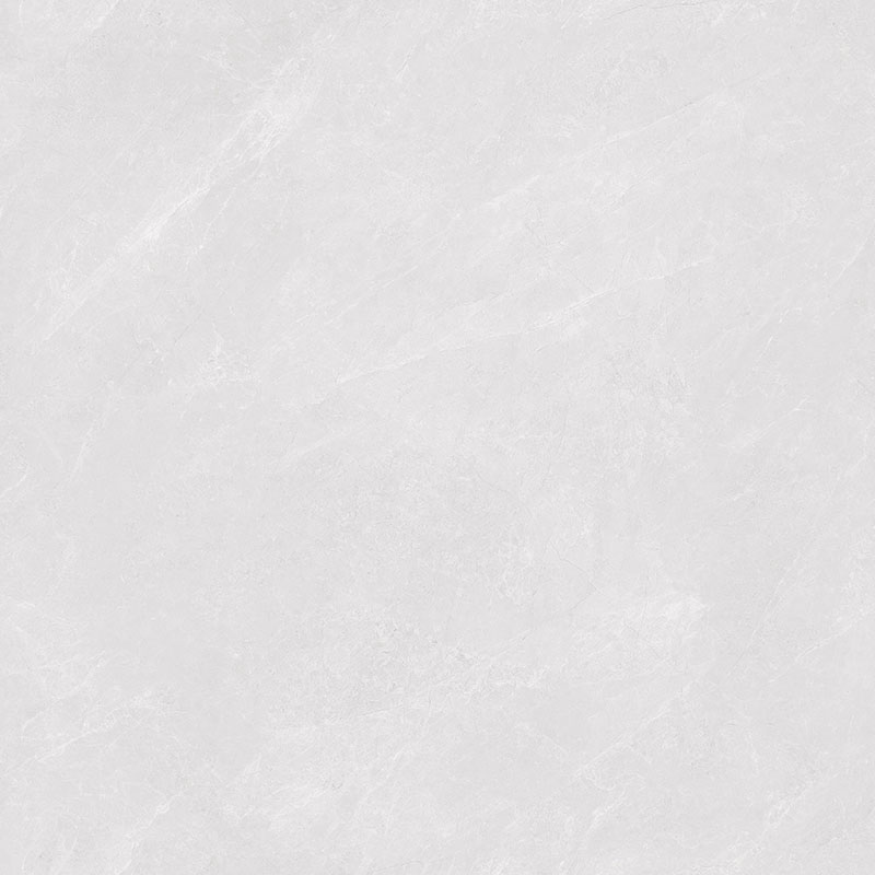 Y81224