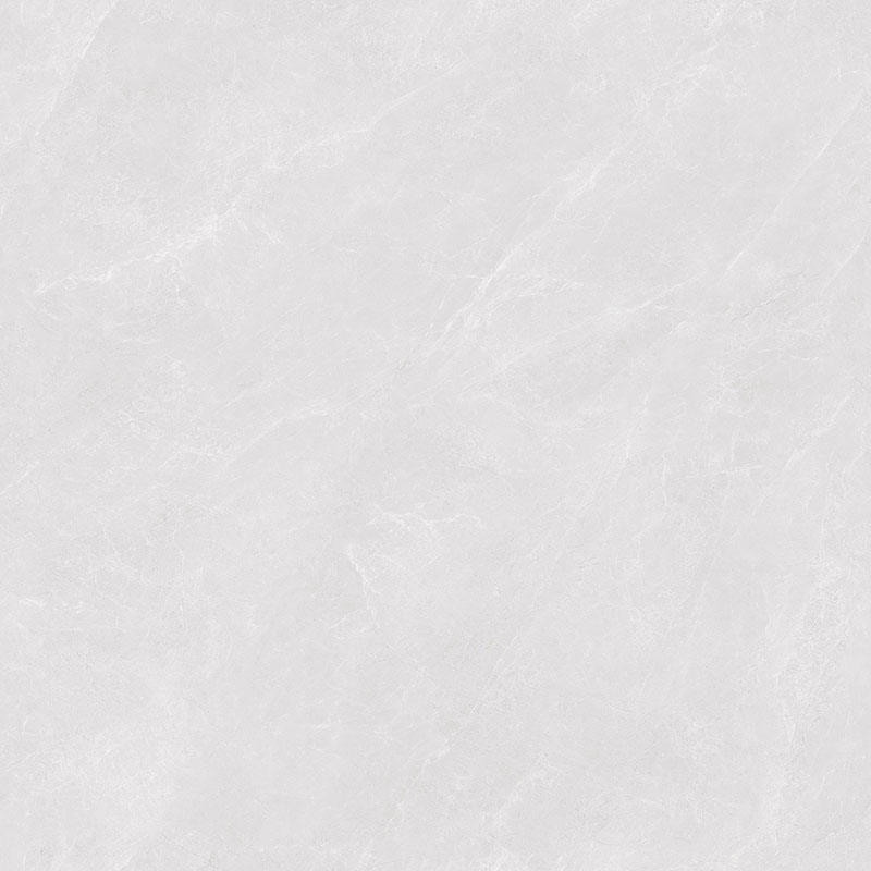 Y81224