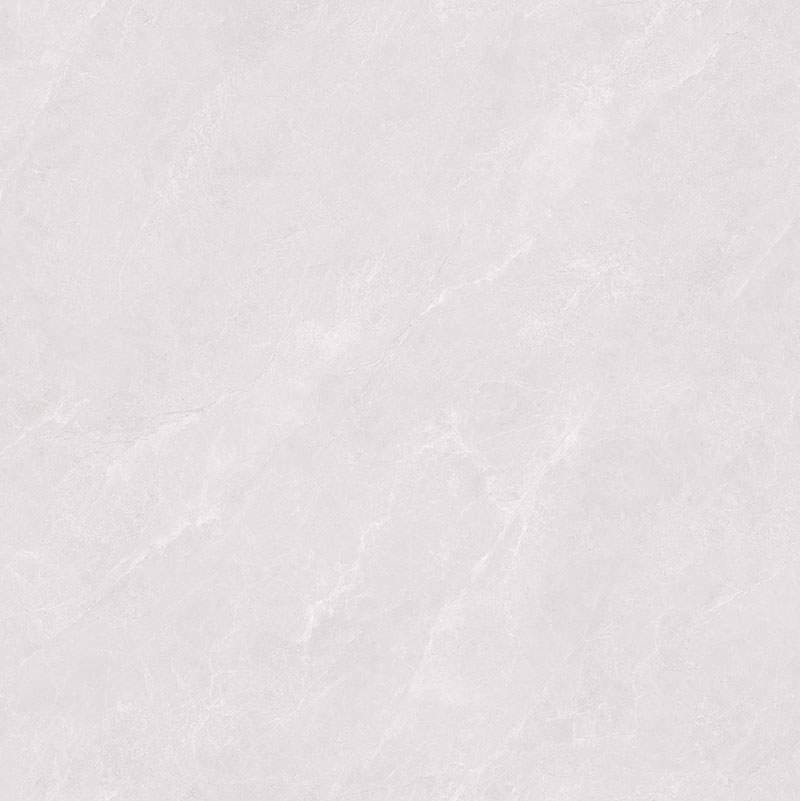 Y81224