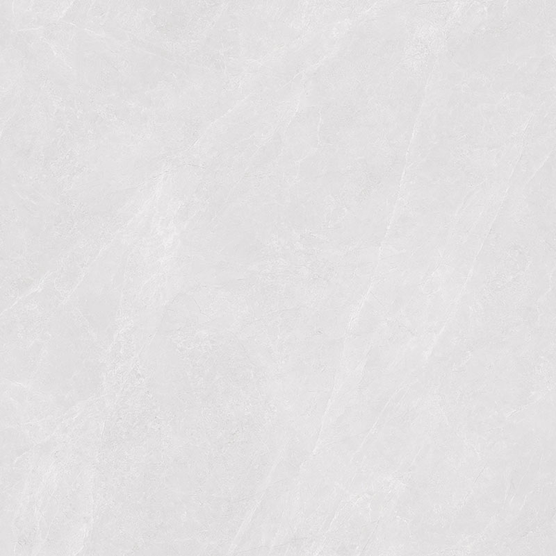 Y81224
