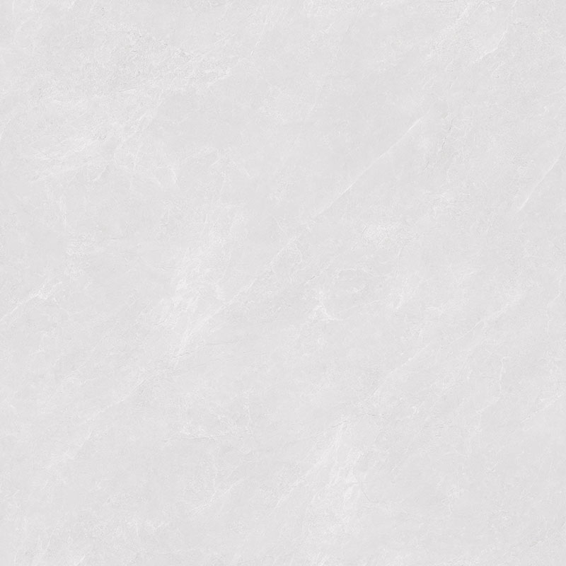 Y81224